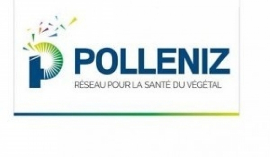 polleniz