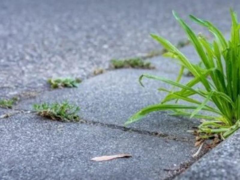 Entretien des trottoirs en toute saison